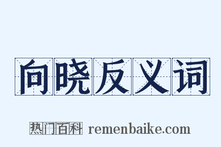 向晓反义词是什么意思的图片